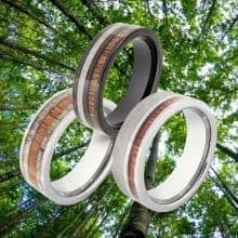 3 bagues pour hommes en bois naturel sur fond de grands arbres